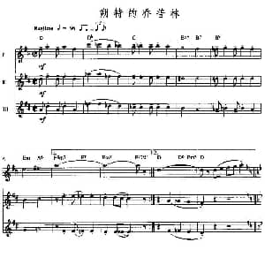 长笛曲谱 | 朔特的乔普林 三重奏