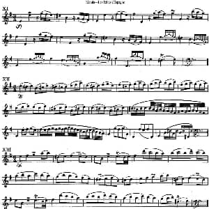 长笛曲谱 | 马瑞斯25首长笛小练习曲 NO.11 NO.14 Marais 马瑞斯