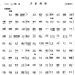 月影寒梅 广东音乐 吕文成