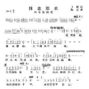 抹去泪水_歌曲简谱_词曲:卞斯 陈宏
