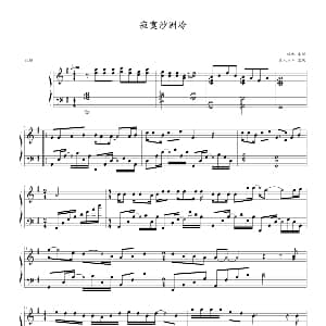 寂寞沙洲冷 钢琴谱 陈信荣 周传雄曲 幸福