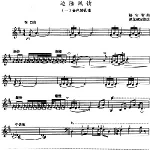 边陲风情 三弦 五线谱 杨宝智