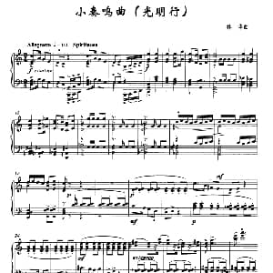 小奏鸣曲 钢琴谱 林华