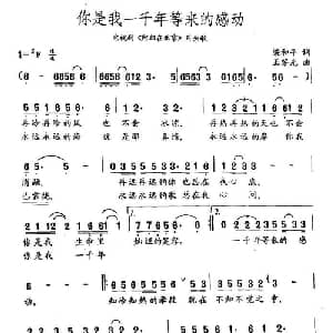 你是我一千年等来的感动_通俗唱法乐谱_词曲:梁和平 王黎光