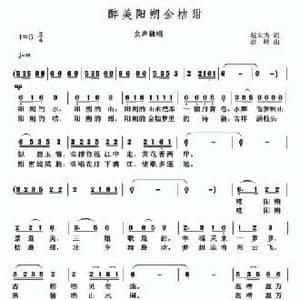 醉美阳朔金桔甜_民歌简谱_词曲:赵大为 奇峰