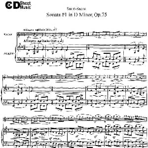 小提琴谱 | Violin Sonata No.1 in D Minor Op.75 小提琴 钢琴伴奏