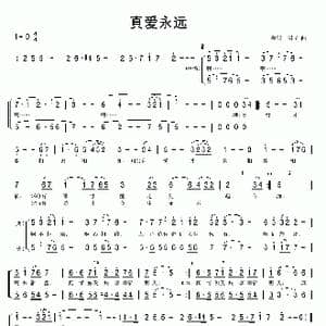 真爱永远_歌曲简谱_词曲:单明 单明