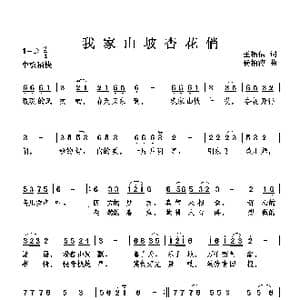 我家山坡杏花俏_歌曲简谱_词曲:王福信 杨柏涛