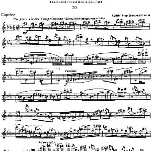 长笛曲谱 | 斯勒新老风格长笛练习重奏曲 第四部分 NO.20 Siegfried Thiele S. 斯勒