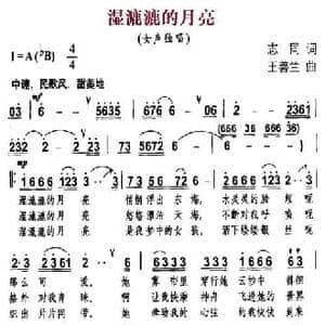 湿漉漉的月亮_民歌简谱_词曲:志同 王善兰