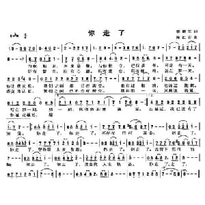 你走了_通俗唱法乐谱_词曲:李建军 陈红岩