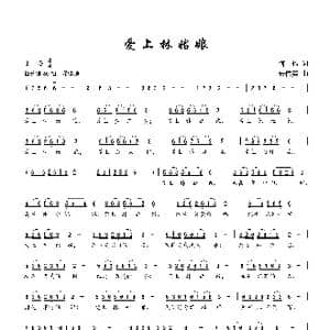 爱上林姑娘_歌曲简谱_词曲:何也 张伟英