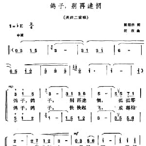鸽子,别再迷惘_合唱歌谱_词曲:陈绍伟 何放