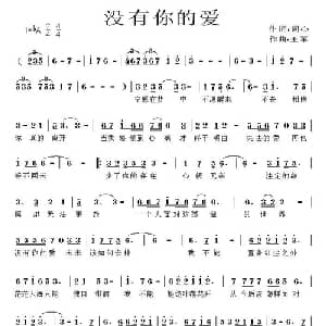 没有你的爱_通俗唱法乐谱_词曲:词心 王军