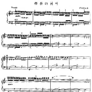 手风琴谱 | 颤抖的树叶 诺尔巴克