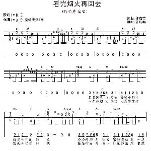 看完烟火再回去 吉他谱 许茹芸 许茹芸