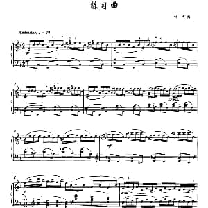练习曲 钢琴谱 林华