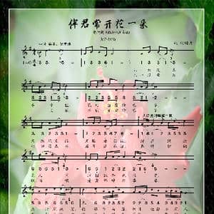 伴君常开花一朵_歌谱投稿_词曲:姚明 姚明