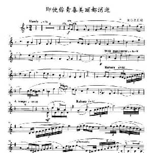 即使你青春美丽都消逝 小号