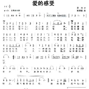 爱的感受_通俗唱法乐谱_词曲:梁涛 张德富