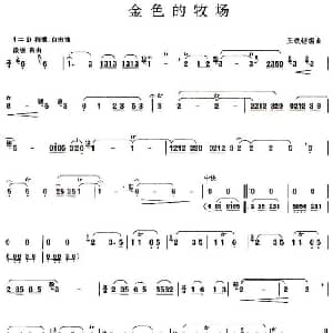 葫芦丝谱 | 金色的牧场 王铁锤