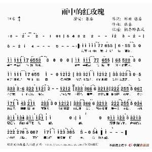 雨中的红玫瑰_歌谱投稿_词曲:琼瑶 张睿 张睿