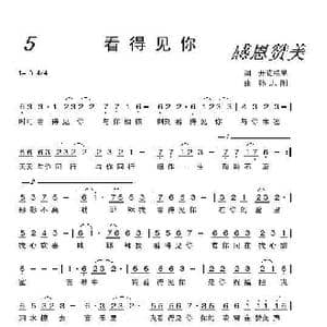 看的见你_歌曲简谱_词曲:开花结果 孙志刚