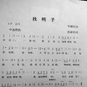 找鸭子_歌曲简谱_词曲:毕健民 段福培