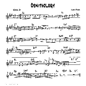 ORNITHOLOGY 降B爵士乐谱