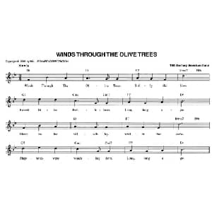 WINDS THROUGH THE OLIVE TREES_外国歌谱