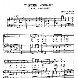 丁小琴编 57你在哪里,心爱的人啊？_外国歌谱_词曲: 德 G F 亨德尔 曲
