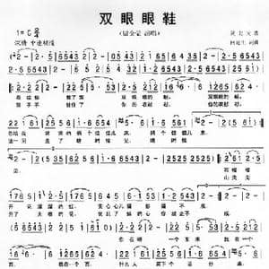 双眼眼鞋_歌谱投稿_词曲:何延生 何延生