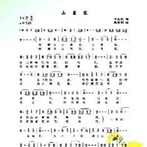山菊花_民歌简谱_词曲:于天花 张犀剑