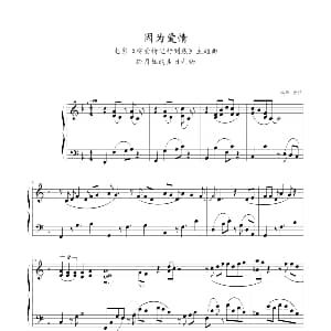 因为爱情 钢琴谱 金弦
