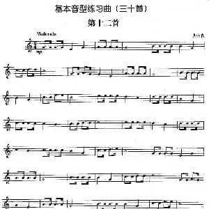 基本音型练习曲第十二首 娄润良