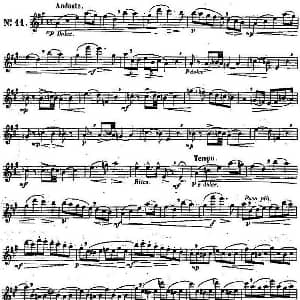 长笛曲谱 | 二十首练习曲作品131号 NO.11 Garibold 加里波第