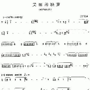 葫芦丝谱 | 美丽的秧萝