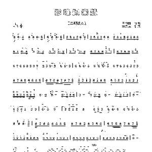 珍珠玛米赞_歌谱投稿_词曲: 王竹林