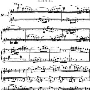 长笛曲谱 | 8首博瑞西亚第长笛二重奏 NO.3 Briccialdi 博瑞西亚第