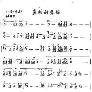 真的好想你_歌谱投稿