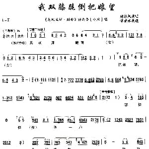 秦腔 我双膝跪倒把娘望 龙凤呈祥 孙尚香唱段 郝彩凤