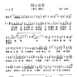 用心良苦_通俗唱法乐谱_词曲:张宇 张宇