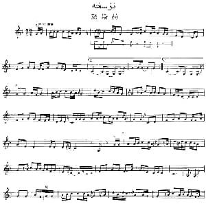 Ⅴ 潘吉尕木卡姆 234 244 主旋律谱 十二木卡姆