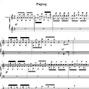 Pagrag.gif 钢琴谱