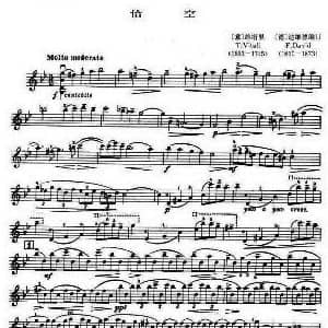 g小调恰空 钢琴谱 维塔里