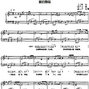 爱的期限 钢琴谱 甘世佳 薛之谦