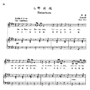 6野玫瑰 奥地利 _外国歌谱_词曲:歌德 舒伯特