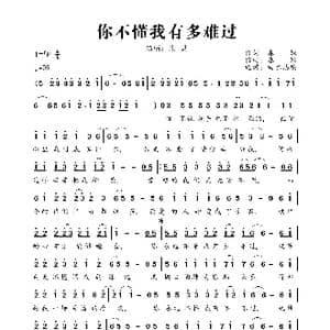 你不懂我有多难过_歌曲简谱_词曲:春妹 春妹