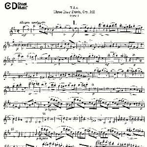 长笛曲谱 | Three Easy Duets,Op.102 之第一长笛 三首简易重奏曲作品102号 Tulou 图露