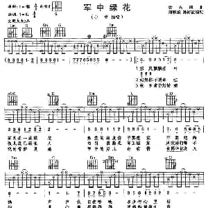 电子琴谱 | 军中绿花 唐联斌 孙海波
